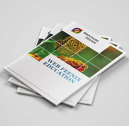 دفترچه راهنما